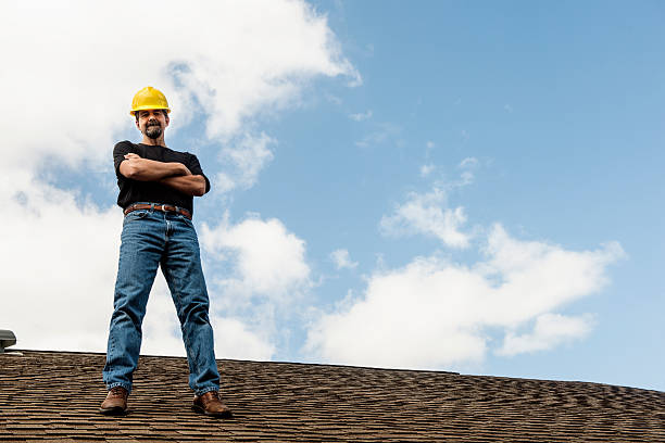 Best Gutter Installation and Roofing  in Waverly, MN