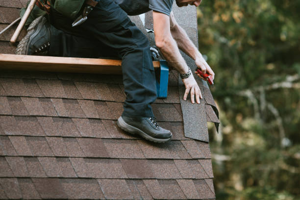 Best Roof Repair Services  in Waverly, MN