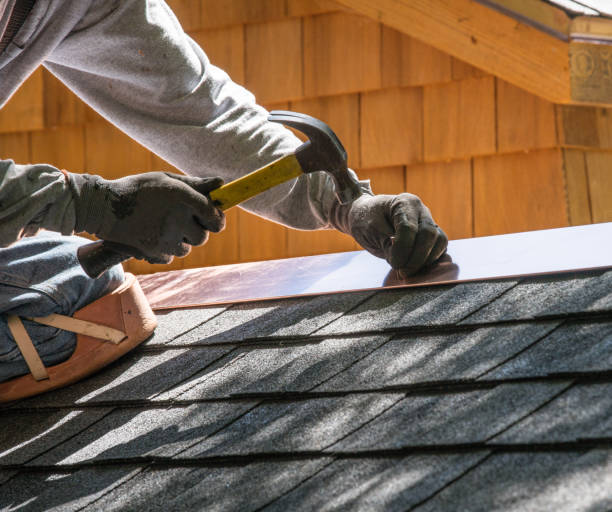 Best Gutter Installation and Roofing  in Waverly, MN